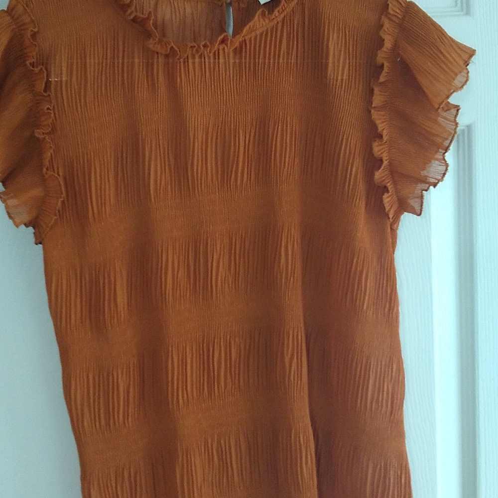 Beautiful Fall shir ruffles shirt top size small - Picture 3 of 8